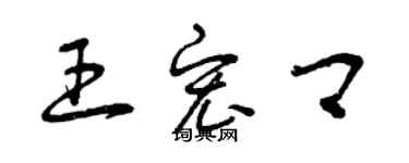 曾慶福王宏卿草書個性簽名怎么寫