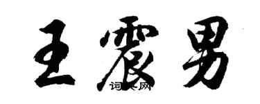 胡問遂王震男行書個性簽名怎么寫