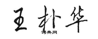 駱恆光王朴華行書個性簽名怎么寫