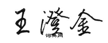 駱恆光王澄金行書個性簽名怎么寫