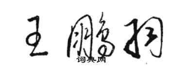 駱恆光王鵬羽草書個性簽名怎么寫