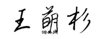 王正良王萌杉行書個性簽名怎么寫