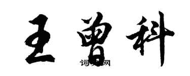 胡問遂王曾科行書個性簽名怎么寫