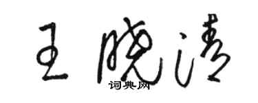 駱恆光王曉清草書個性簽名怎么寫