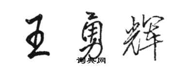 駱恆光王勇輝行書個性簽名怎么寫