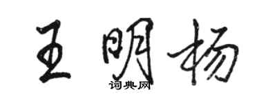 駱恆光王明楊行書個性簽名怎么寫