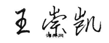 駱恆光王崇凱行書個性簽名怎么寫