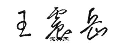 駱恆光王震岳草書個性簽名怎么寫