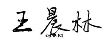 曾慶福王晨林行書個性簽名怎么寫