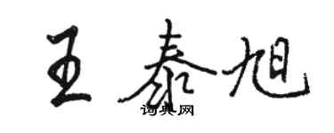 駱恆光王泰旭行書個性簽名怎么寫