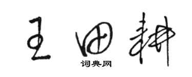 駱恆光王田耕草書個性簽名怎么寫