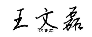 王正良王文磊行書個性簽名怎么寫