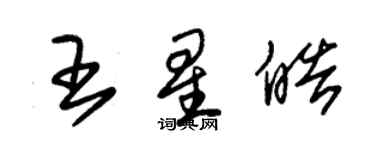 朱錫榮王星皓草書個性簽名怎么寫