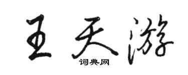 駱恆光王天遊行書個性簽名怎么寫