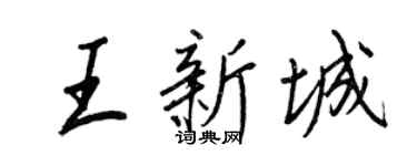 王正良王新城行書個性簽名怎么寫