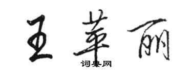 駱恆光王苹麗行書個性簽名怎么寫