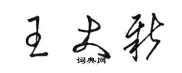 駱恆光王大新草書個性簽名怎么寫