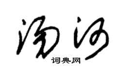 朱錫榮湯河草書個性簽名怎么寫