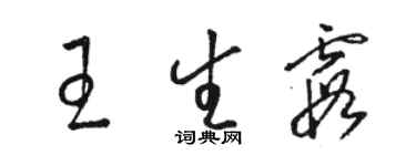 駱恆光王生霞草書個性簽名怎么寫