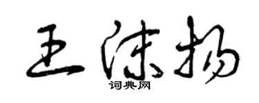 曾慶福王沫揚草書個性簽名怎么寫