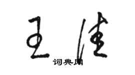 駱恆光王佳草書個性簽名怎么寫