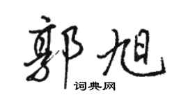 駱恆光郭旭行書個性簽名怎么寫