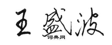 駱恆光王盛波行書個性簽名怎么寫
