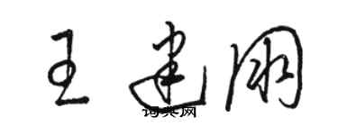 駱恆光王建朋草書個性簽名怎么寫