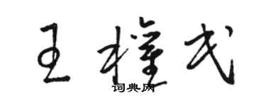 駱恆光王權民草書個性簽名怎么寫