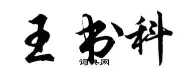 胡問遂王書科行書個性簽名怎么寫