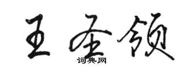 駱恆光王聖領行書個性簽名怎么寫