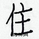 白克儉寫的硬筆楷書住