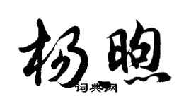 胡問遂楊煦行書個性簽名怎么寫
