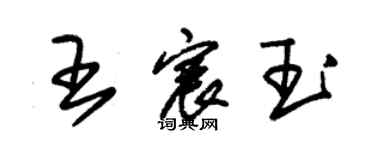 朱錫榮王宸玉草書個性簽名怎么寫