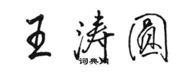 駱恆光王濤圓行書個性簽名怎么寫