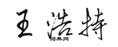 駱恆光王浩特行書個性簽名怎么寫