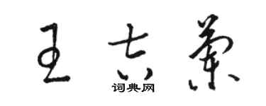 駱恆光王吉蘭草書個性簽名怎么寫