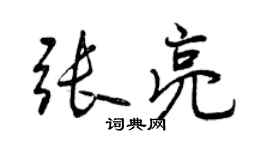 曾慶福張亮行書個性簽名怎么寫