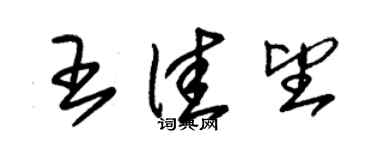 朱錫榮王佳望草書個性簽名怎么寫