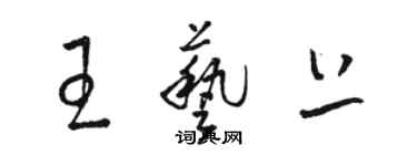 駱恆光王藝上草書個性簽名怎么寫