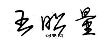 朱錫榮王昭量草書個性簽名怎么寫