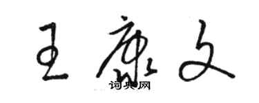 駱恆光王康文草書個性簽名怎么寫