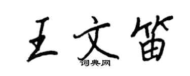 王正良王文笛行書個性簽名怎么寫