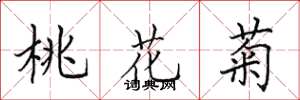 田英章桃花菊楷書怎么寫