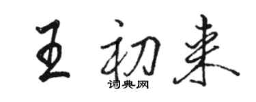 駱恆光王初來行書個性簽名怎么寫