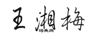 駱恆光王湘梅行書個性簽名怎么寫