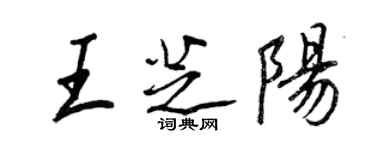 王正良王芝陽行書個性簽名怎么寫