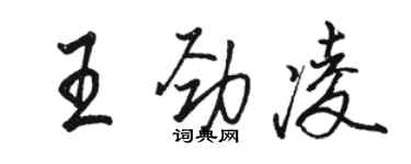 駱恆光王勁凌行書個性簽名怎么寫