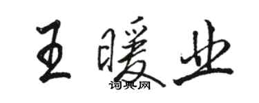 駱恆光王暖業行書個性簽名怎么寫