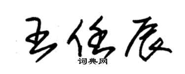 朱錫榮王任辰草書個性簽名怎么寫